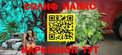 спиды Заводоуковск