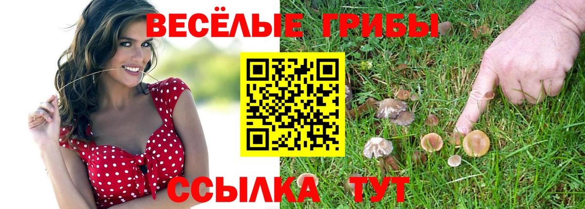 Ликино-Дулёво  Галлюциногенные грибы Magic Shrooms  Вход с VPN 
