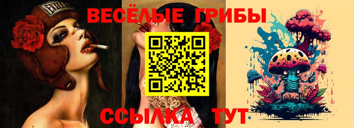Псилоцибиновые грибы мухоморы Ликино-Дулёво